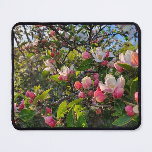 Item preview, Blossoming Apple Tree designed and sold by EndmostShip.