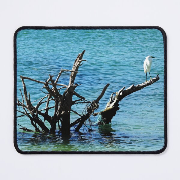 Item preview, Snowy Perched On Driftwood designed and sold by Debbie Oppermann.