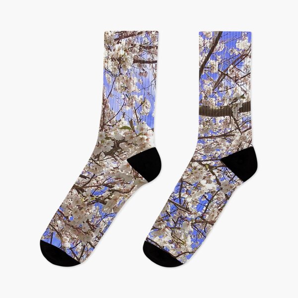 Item preview, Cherry Blossoms with a Blue Sky designed and sold by CJRPics.