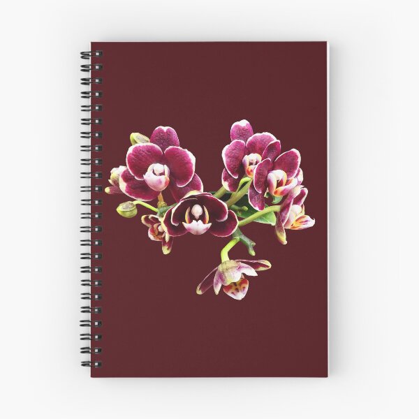 Item preview, Phal. Lioulin Sparrow designed and sold by Susan Savad.