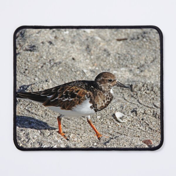Item preview, Beach Walker designed and sold by Debbie Oppermann.