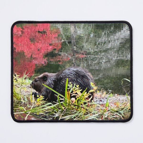 Item preview, Busy beaver holding a stick in the fall  designed and sold by ClarissaFlora.
