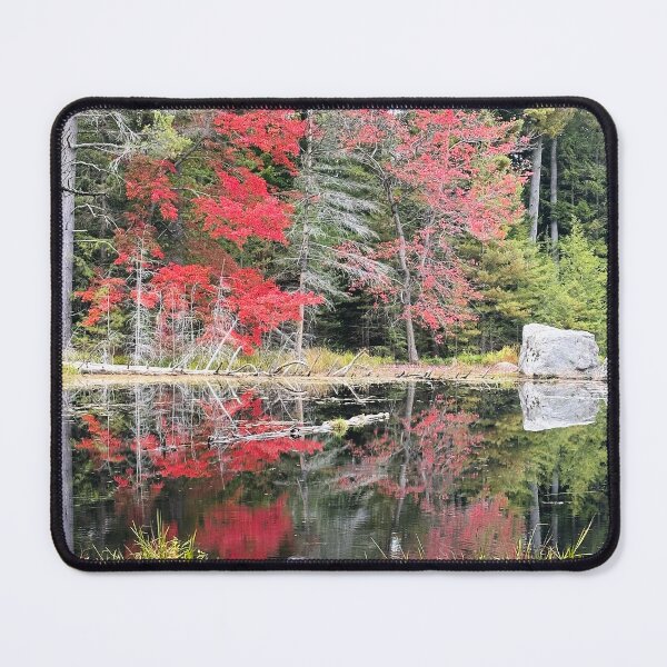 Item preview, Beaver in a fall landscape surrounded by red trees designed and sold by ClarissaFlora.