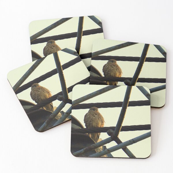 Item preview, At Dawn's Delight: The Kestrel designed and sold by Madcreat.
