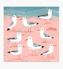 Seagulls on the Shore Photographic Print