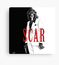 Scar montana Canvas Print