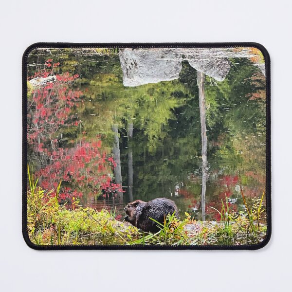 Item preview, A hungry beaver in a beautiful fall pond designed and sold by ClarissaFlora.