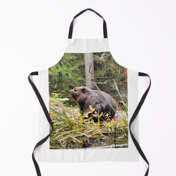 Item preview, Iconic Canadian Mr. Beaver designed and sold by ClarissaFlora.