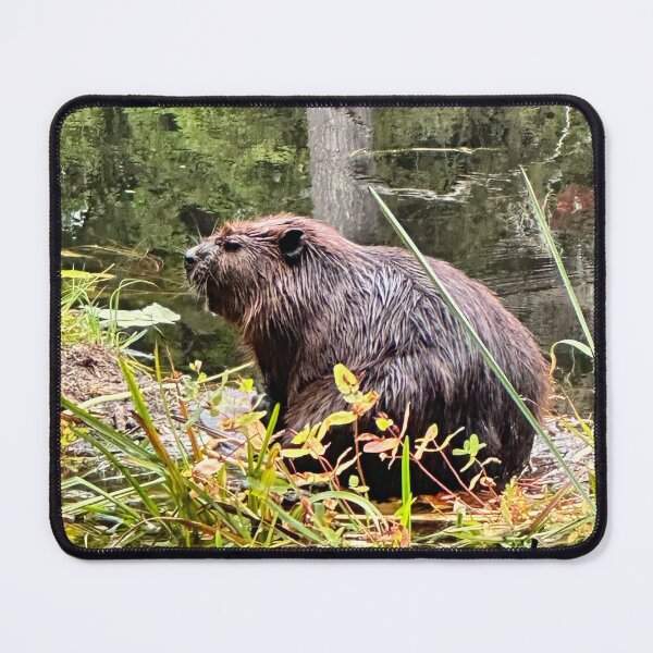 Item preview, Iconic Canadian Mr. Beaver designed and sold by ClarissaFlora.