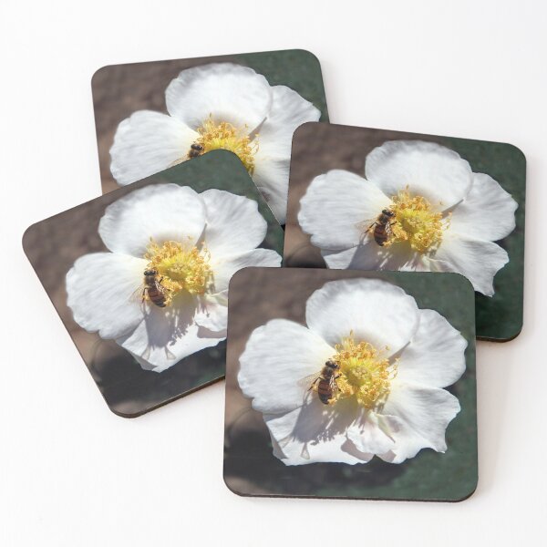 Item preview, Collecting Pollen designed and sold by heatherfriedman.