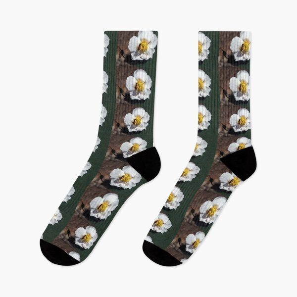 Item preview, Collecting Pollen designed and sold by heatherfriedman.