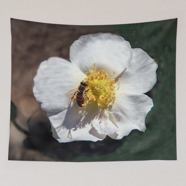 Item preview, Collecting Pollen designed and sold by heatherfriedman.