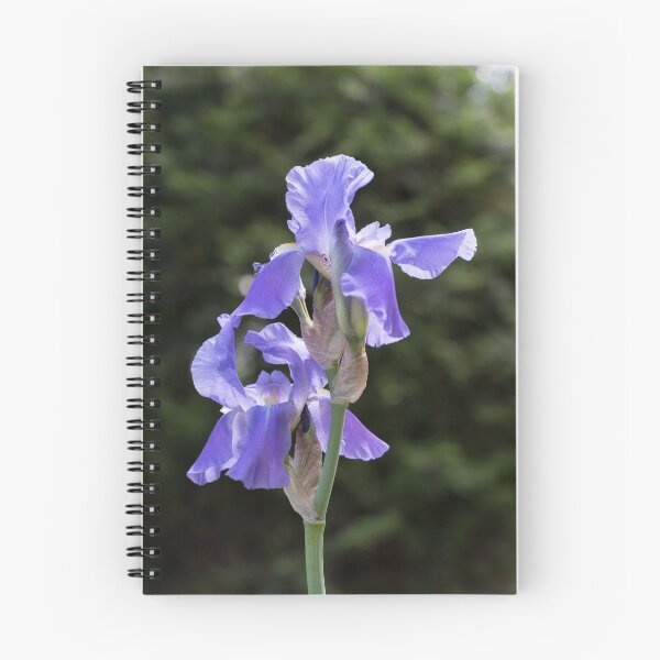 Item preview, Elegant Purple Iris in Bloom designed and sold by Georgia Mizuleva.