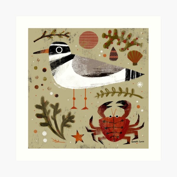 Plover and Crab Art Print