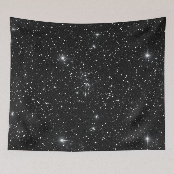 Item preview, Constellation Canvas: Monochrome Starscape designed and sold by Skolyak.