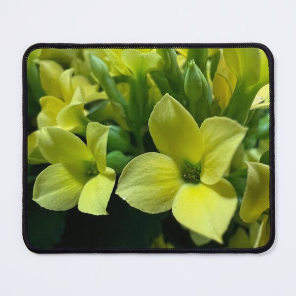 Item preview, Yellow Flaming Katy designed and sold by Betsy Phillips.