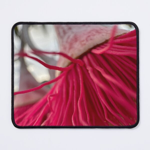 Item preview, The ballerina designed and sold by Nicole Sumner.