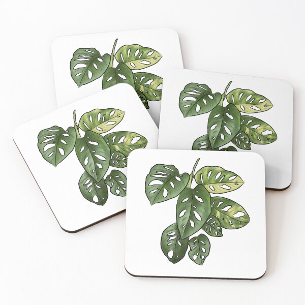 Item preview, Monstera adansonii - Swiss Cheese Plant designed and sold by Moon Dog Art.