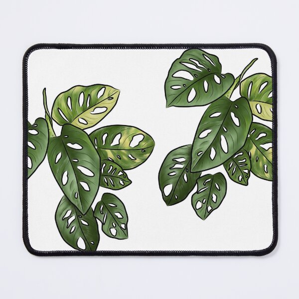 Item preview, Monstera adansonii - Swiss Cheese Plant designed and sold by Moon Dog Art.