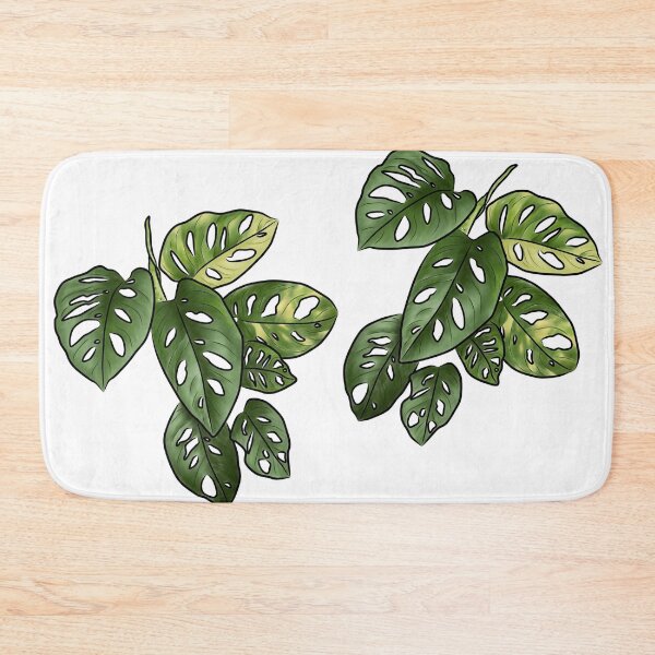 Item preview, Monstera adansonii - Swiss Cheese Plant designed and sold by Moon Dog Art.