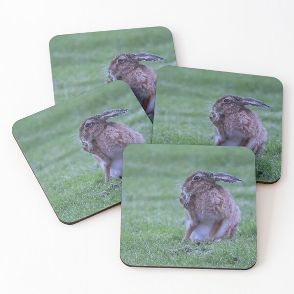 Item preview, Hare designed and sold by Madcreat.