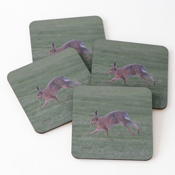 Item preview, Hare designed and sold by Madcreat.