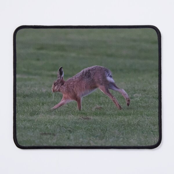 Item preview, Hare designed and sold by Madcreat.