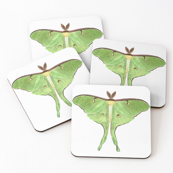 Item preview, Chinese Moon Moth Sticker designed and sold by pinespice.