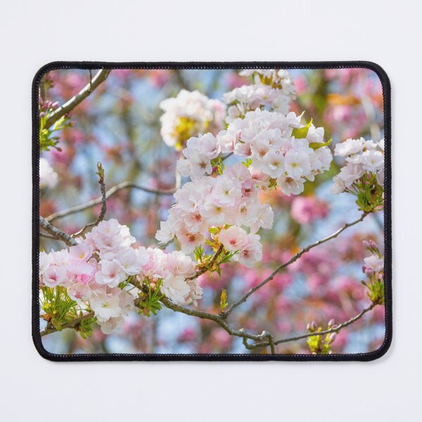 Item preview, Spring Blossoms designed and sold by Dave Hare Photography.