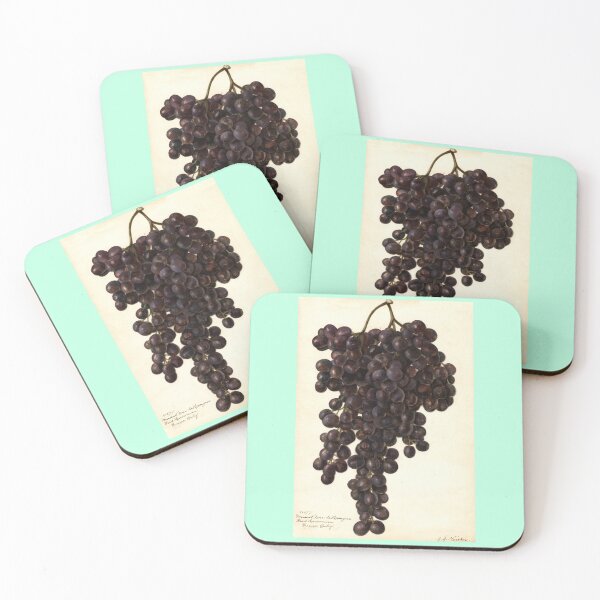 Item preview, Vitis Muscat Noir, grapes Scientific Vintage Illustration designed and sold by Lacasadellora.