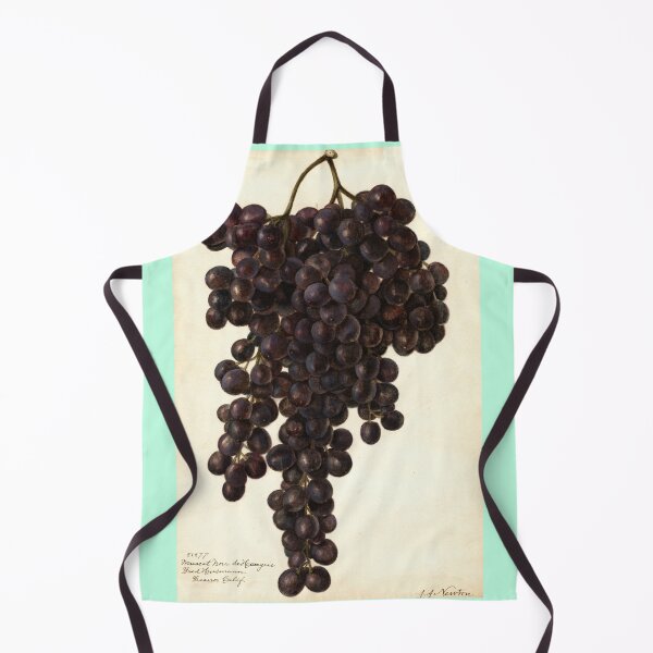 Item preview, Vitis Muscat Noir, grapes Scientific Vintage Illustration designed and sold by Lacasadellora.