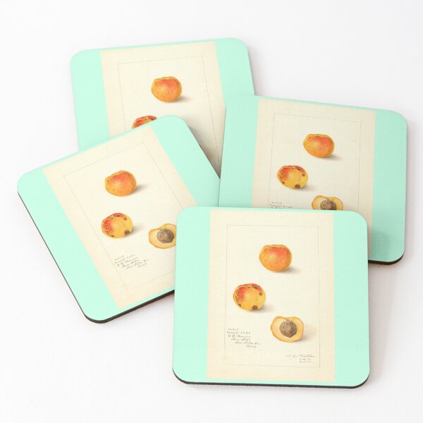 Item preview, Prunus persica, peaches Scientific Vintage Illustration designed and sold by Lacasadellora.