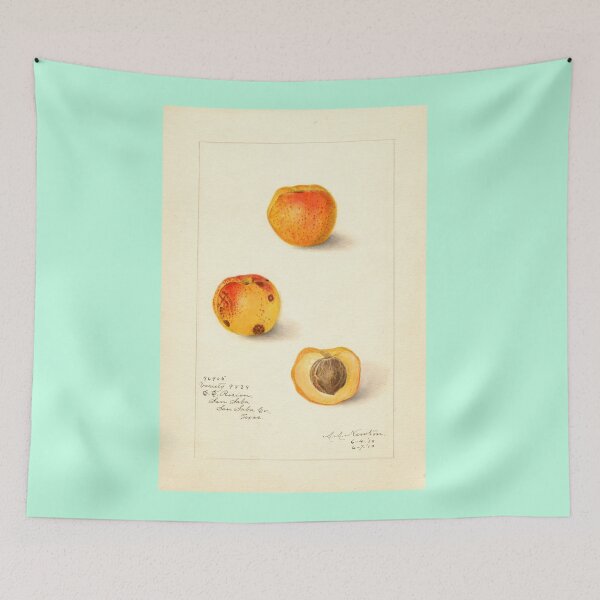 Item preview, Prunus persica, peaches Scientific Vintage Illustration designed and sold by Lacasadellora.