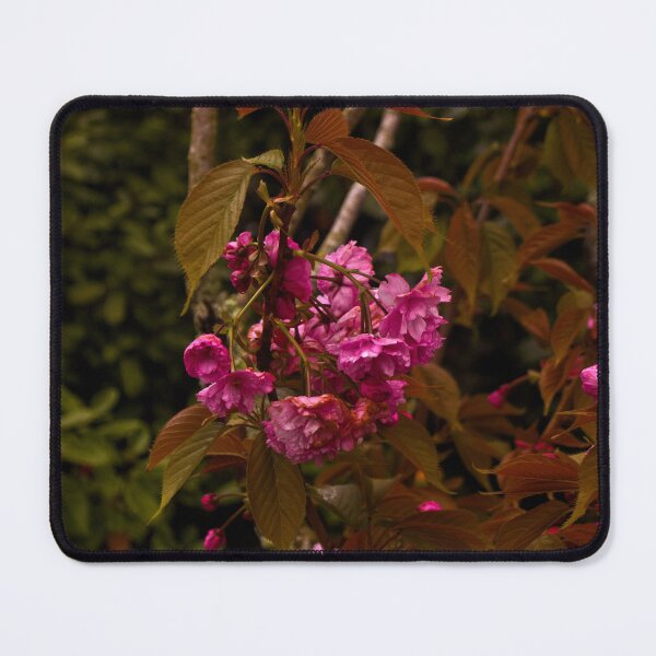 Item preview, Pink flowers on a hedgerow designed and sold by MichaelPhotos.