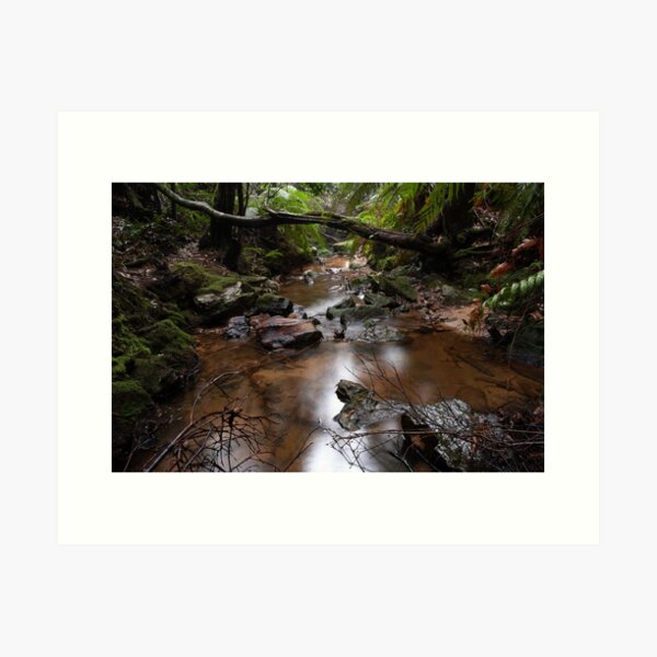 Item preview, pools of siloam, Blue mountains, NSW, Australia designed and sold by Willscape.