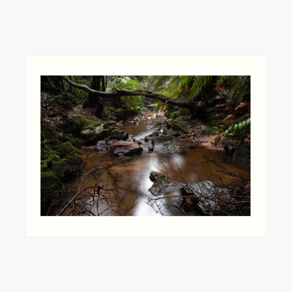 pools of siloam, Blue mountains, NSW, Australia Art Print