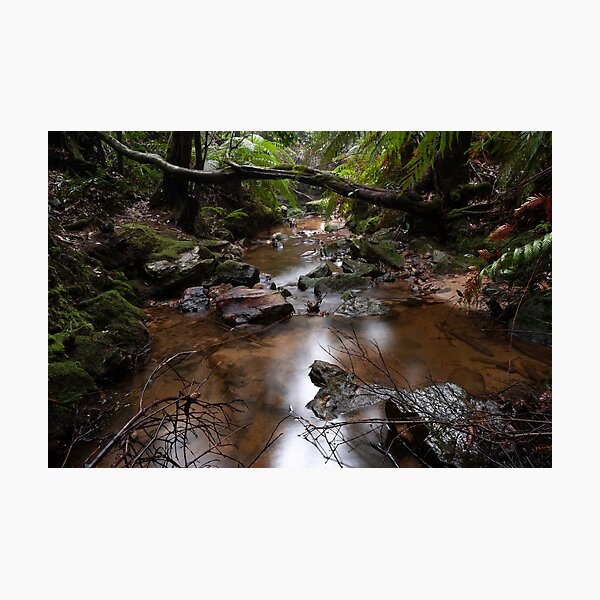 Item preview, pools of siloam, Blue mountains, NSW, Australia designed and sold by Willscape.