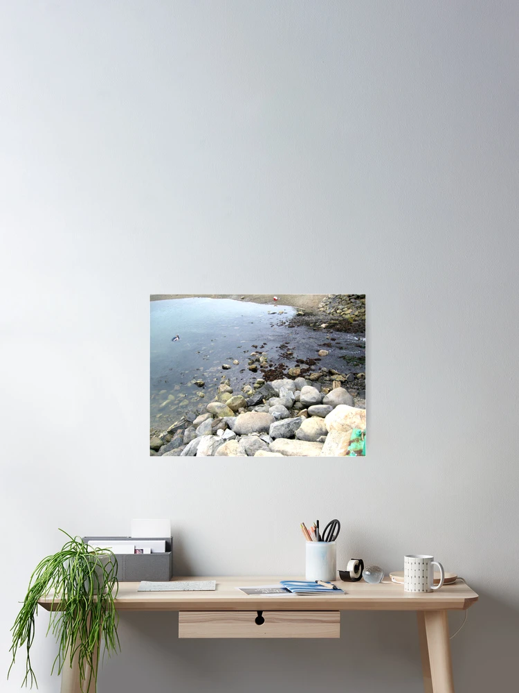 Thumbnail 2 von 3, Poster, From Rocks to Rivers designt und verkauft von INTERACTION.