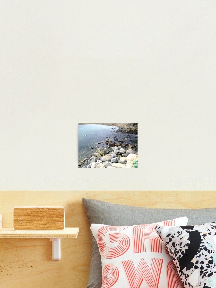 Thumbnail 2 of 3, Photographic Print, From Rocks to Rivers designed and sold by INTERACTION.