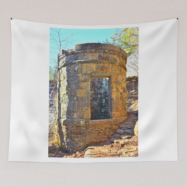 Item preview, Paris Mountain State Park Tower designed and sold by LisaWootenPhoto.