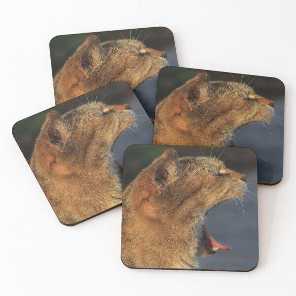 Item preview, A Cat's Yawn designed and sold by KaSaPo.