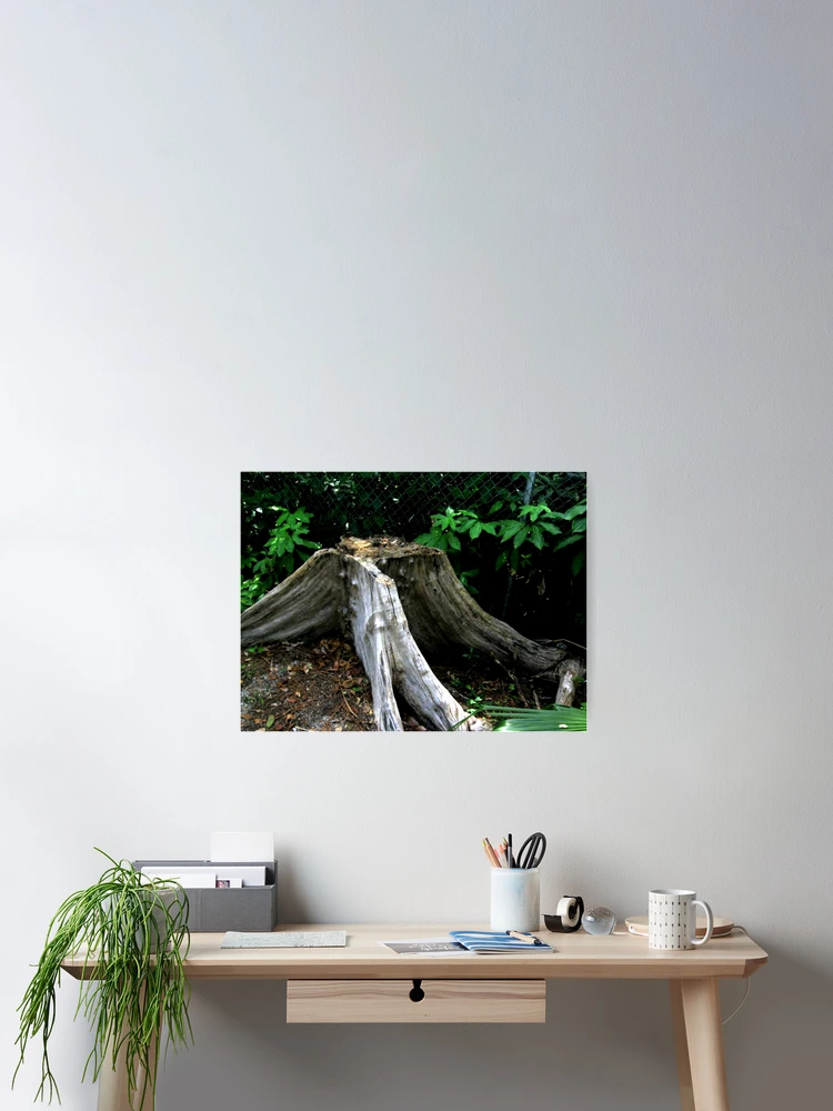 Thumbnail 2 of 3, Poster, Tree Stump designed and sold by INTERACTION.