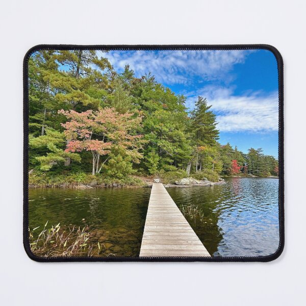 Item preview, Stunning path through a nestled forest designed and sold by ClarissaFlora.
