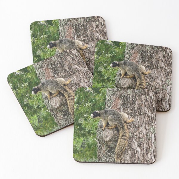 Item preview, Fox Squirrel designed and sold by GrapevineLady.