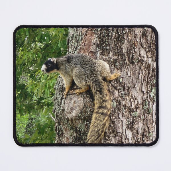 Item preview, Fox Squirrel designed and sold by GrapevineLady.