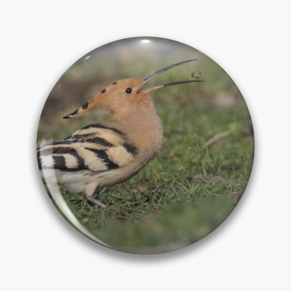 Item preview, Hoopoe designed and sold by LaurenTucker.