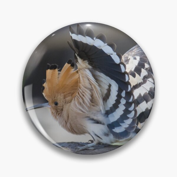 Item preview, Hoopoe designed and sold by LaurenTucker.