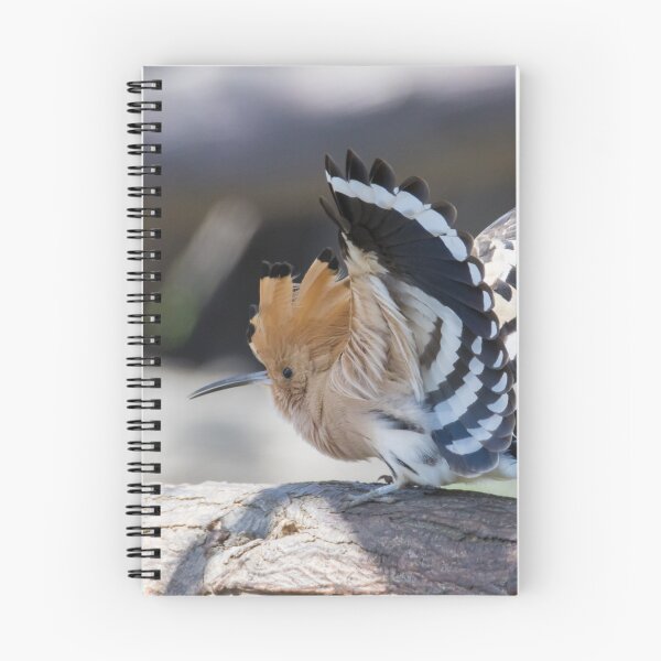 Item preview, Hoopoe designed and sold by LaurenTucker.