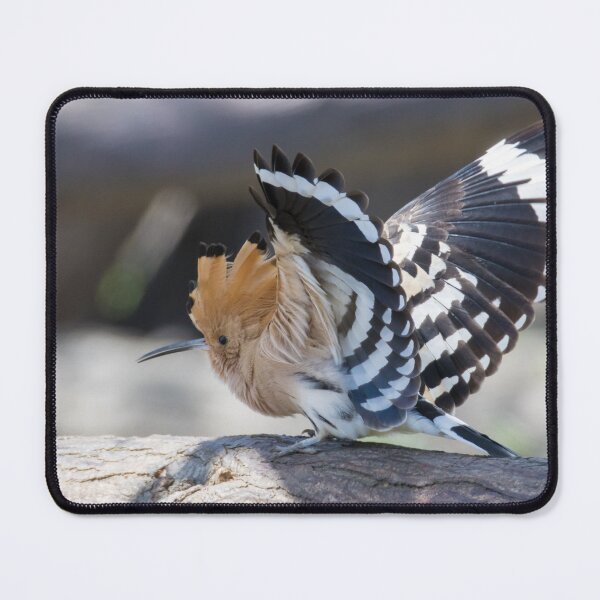 Item preview, Hoopoe designed and sold by LaurenTucker.