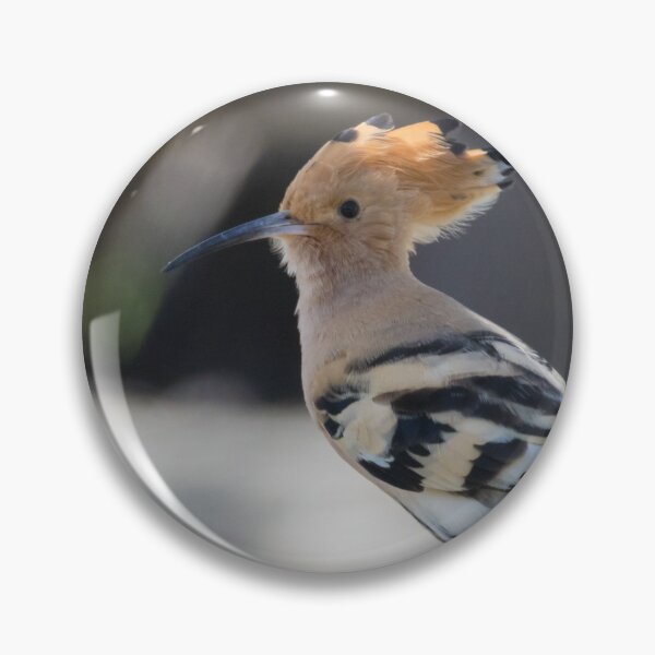 Item preview, Hoopoe designed and sold by LaurenTucker.